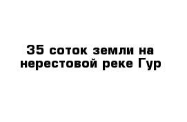 35 соток земли на нерестовой реке Гур 